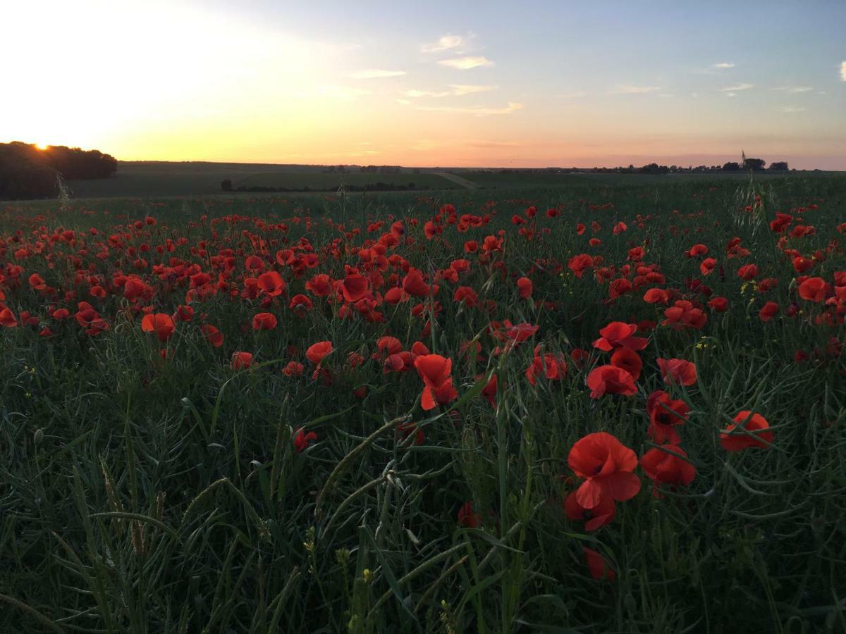 فيلا Dupres House, Chavasse Farm, Somme Battlefields Hardecourt-aux-Bois المظهر الخارجي الصورة